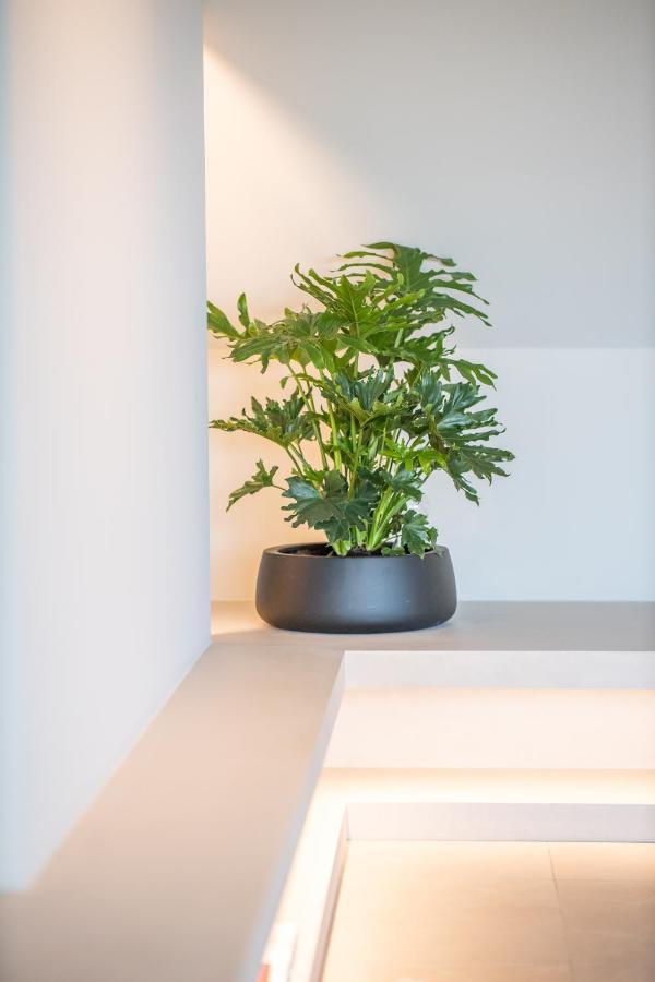 カトザントThe Penthouse Nami, Branding, Ultra Luxurious Japanese Design Sea Viewアパートメント エクステリア 写真
